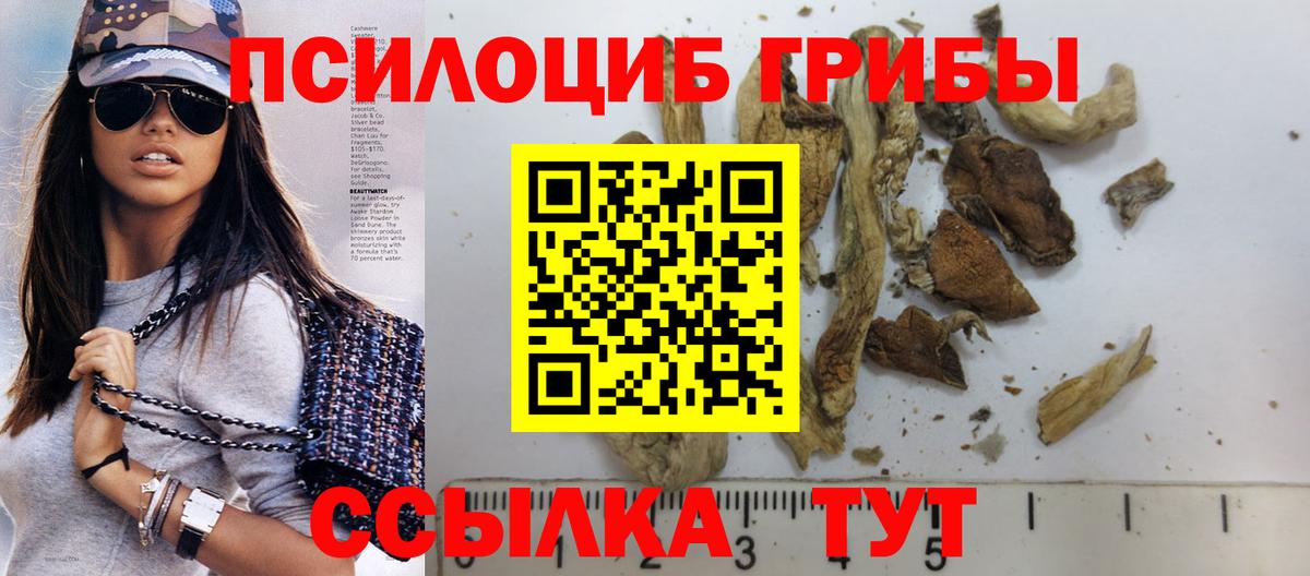 Псилоцибиновые грибы мухоморы Рубцовск