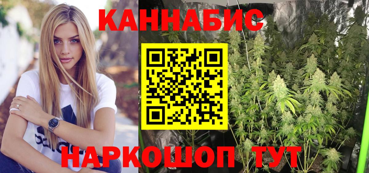 Рубцовск  Шишки марихуана план  Вход с VPN  Бошки Шишки семена  Каннабис конопля 